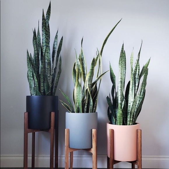 Meet your Posher, Corie - Picture 10 of 10